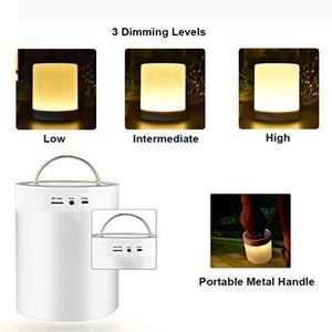 LED Night Lamp inbuilt Bluetooth Speaker